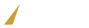 logotipo dluz versiones.webp